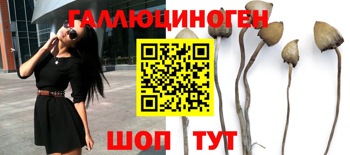 Псилоцибиновые грибы Magic Shrooms Коломна